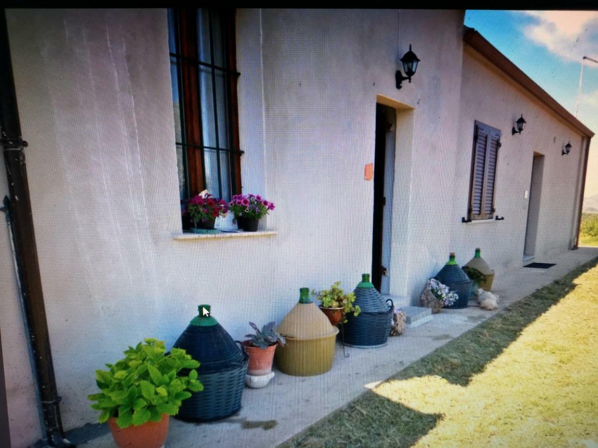 Su Cuile Historical Country House With Barbecue Martis Buitenkant foto